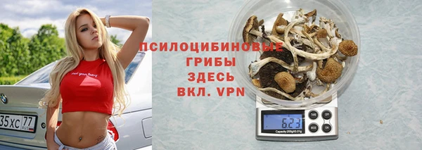 спайс Липки